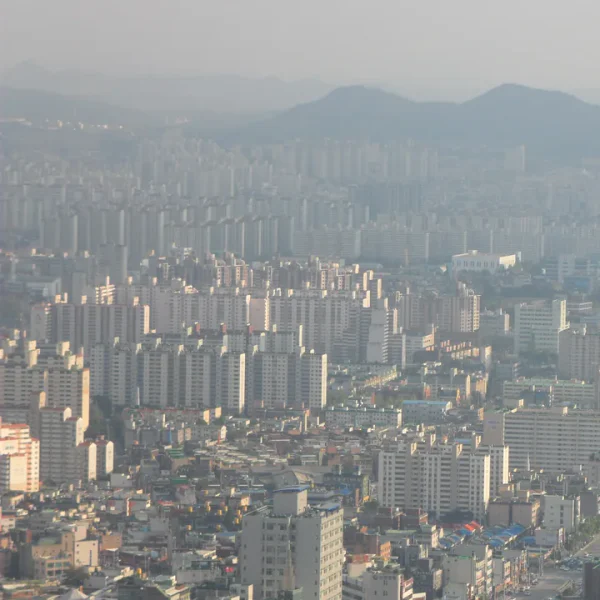프리미엄 카리나아지트 마사지 대표 안내 이미지