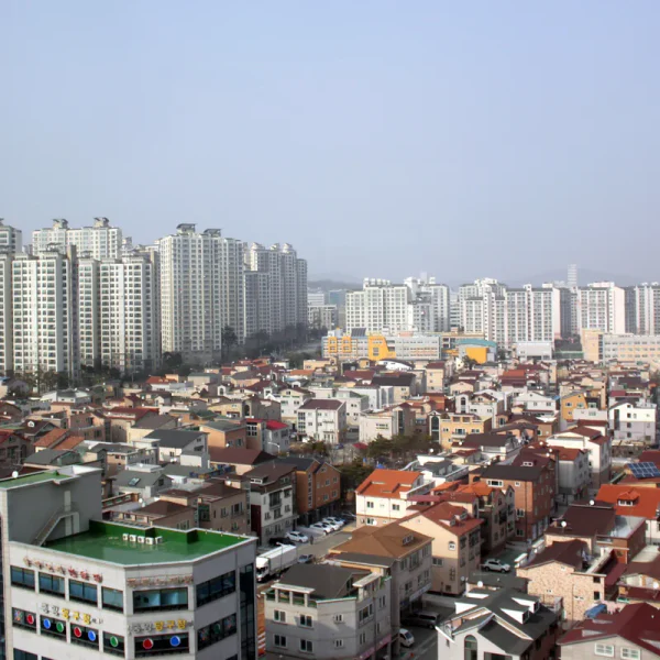 모던 윈터포레스트 마사지 대표 안내 이미지
